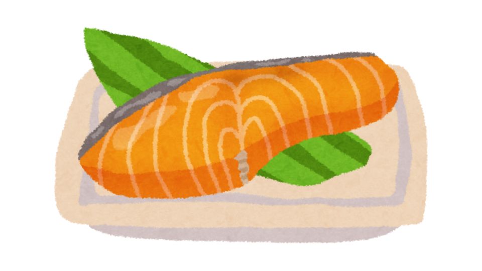salmon illustration