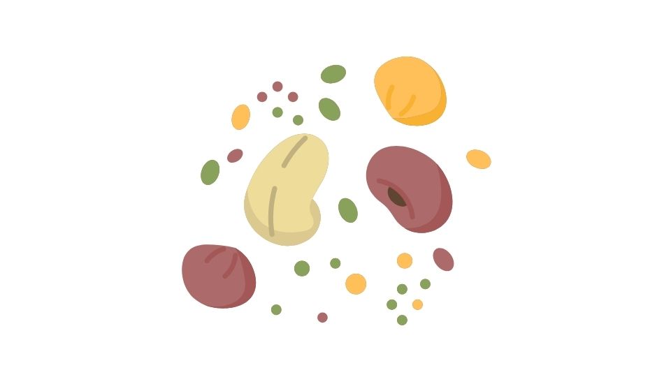 seed illustration