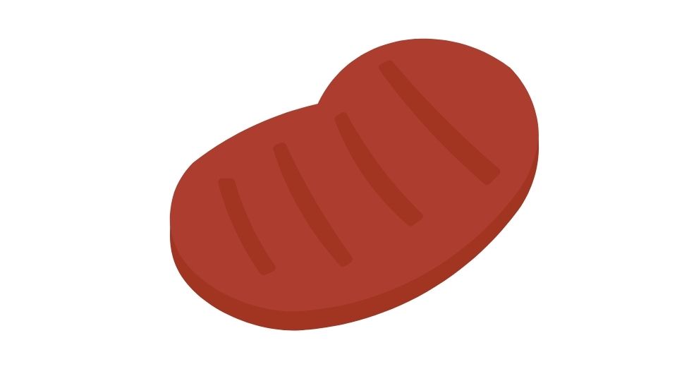 seitan illustration