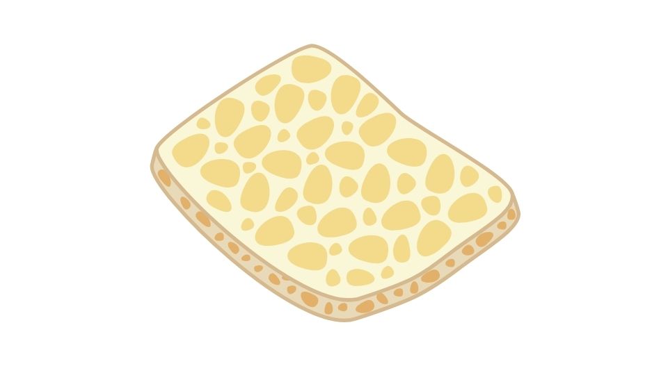 tempeh illustration