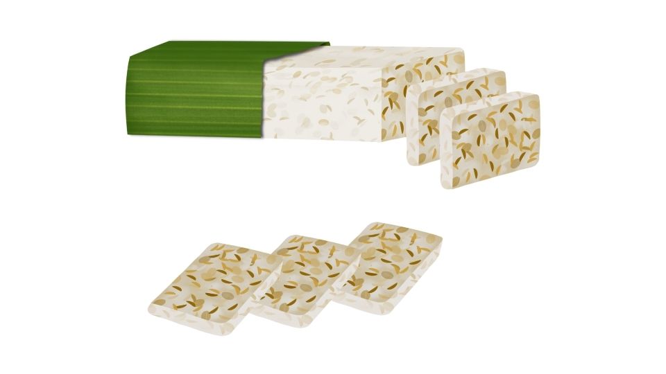 tempeh illustration