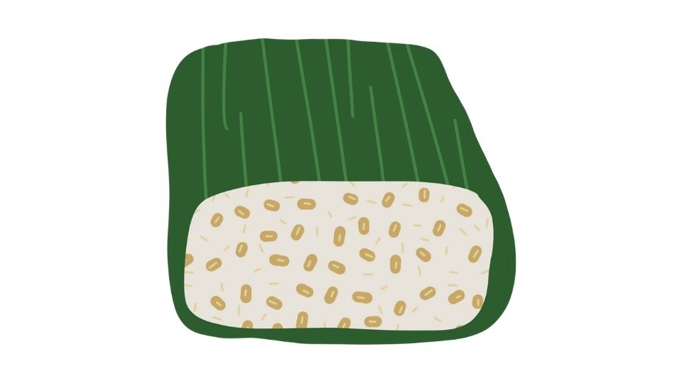 tempeh illustration
