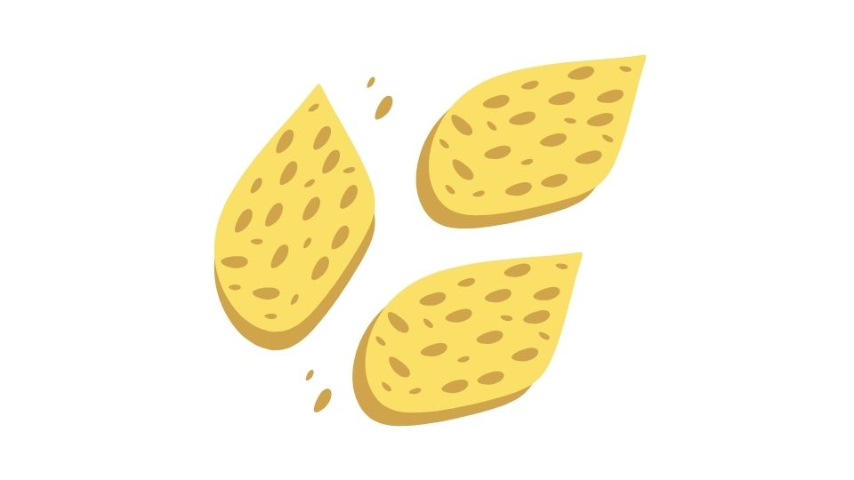tempeh illustration