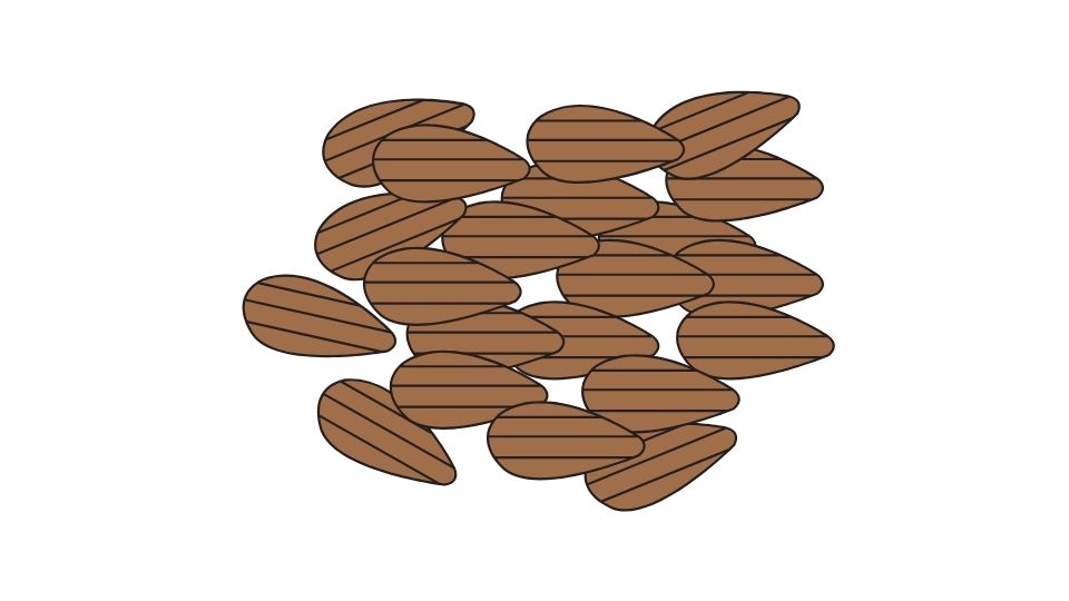 almond cartoon