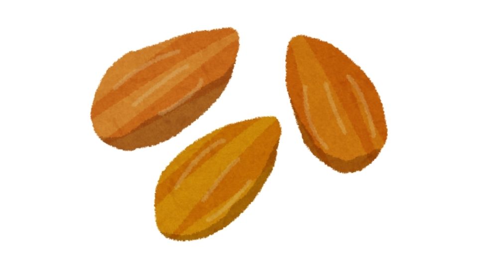 almond cartoon