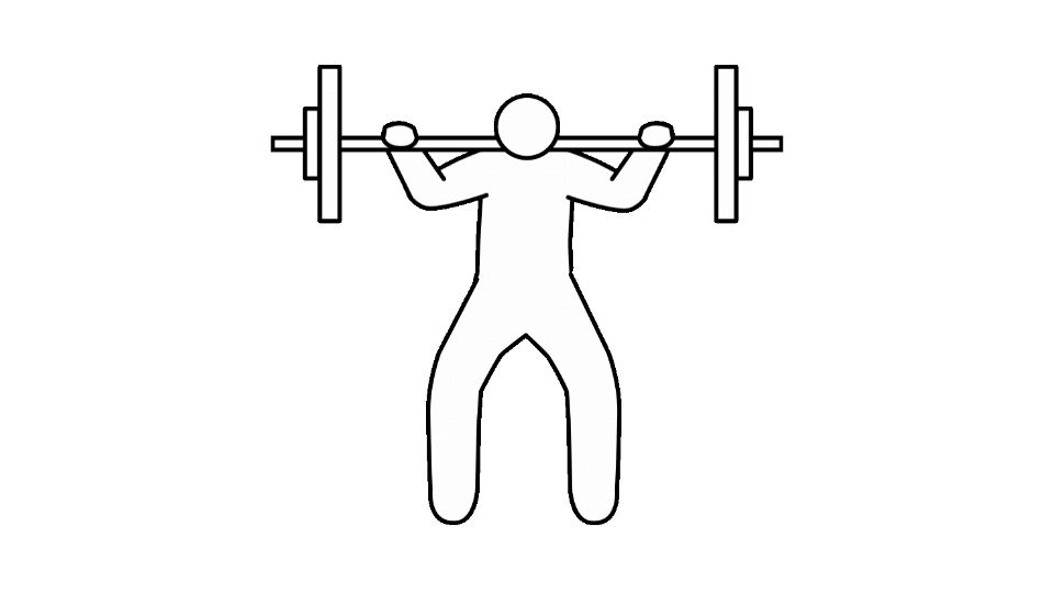 fitness gym