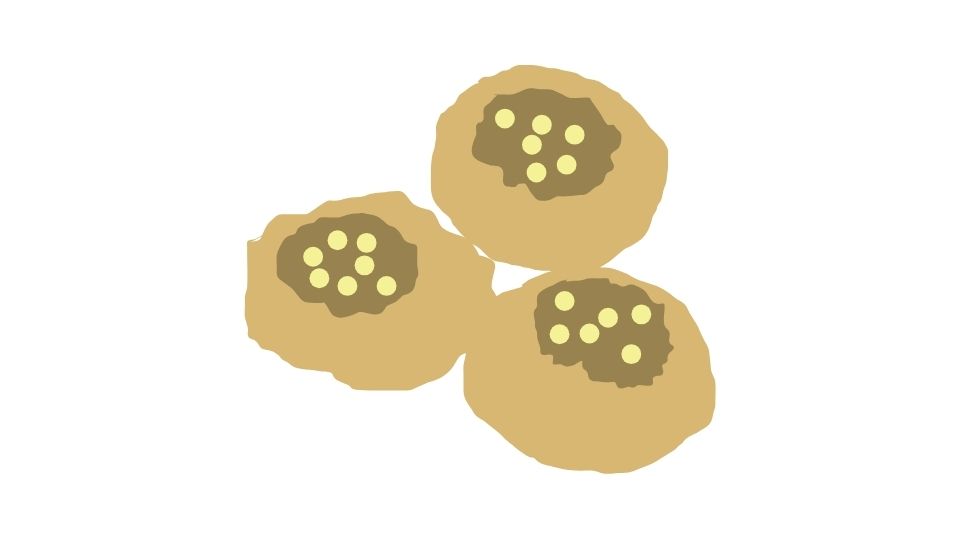 foods