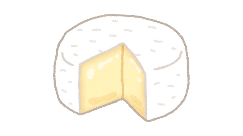 ricotta cheese