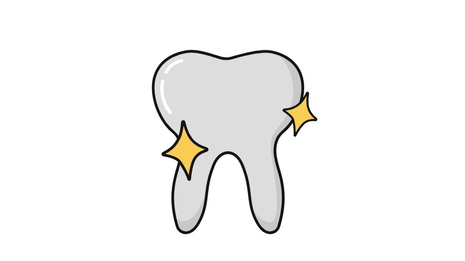 teeth