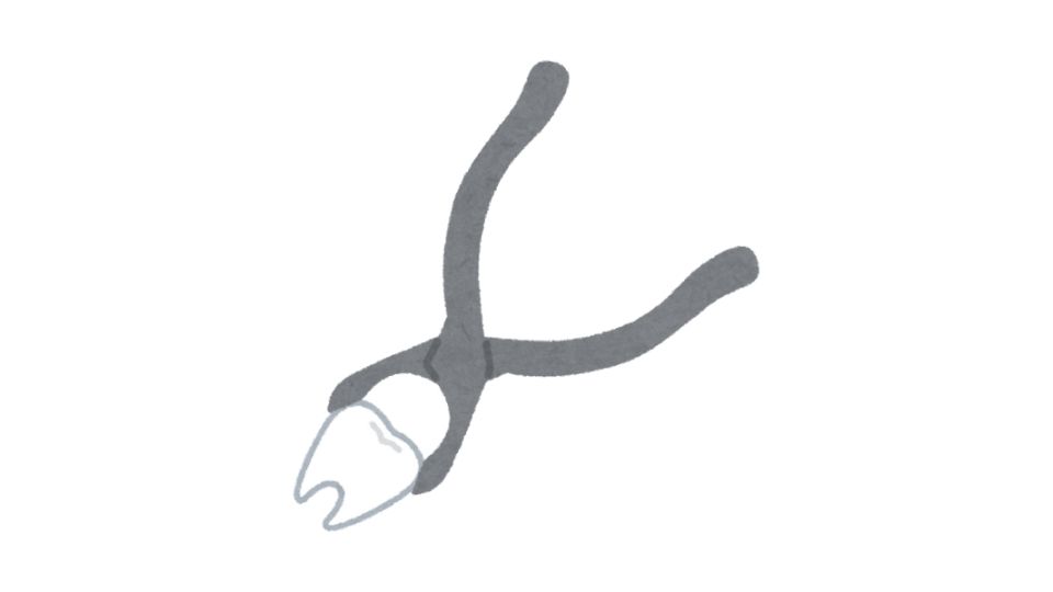 teeth